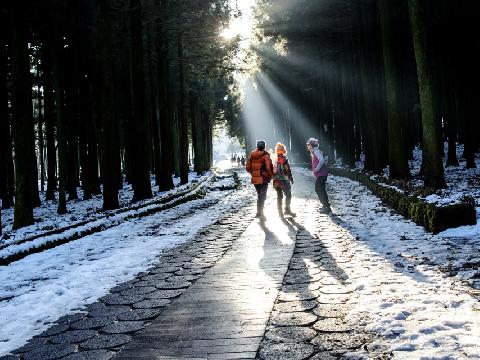 제주 아름다운풍경 선정작 절물산책