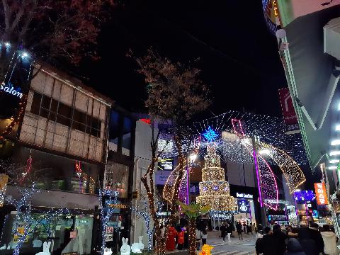 2022 광복로 겨울빛 트리축제