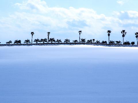 제주 신풍목장의 설경