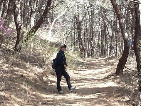 한 눈에 쉽게! 비대면 관광으로 재조명되는 갈맷길
